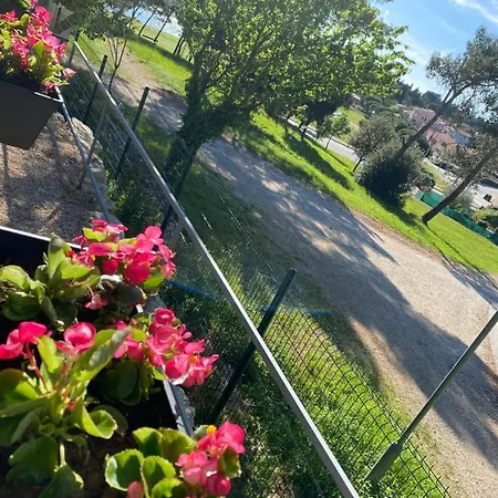 Mobile Biondina Camp Porton Nature Hideouts *