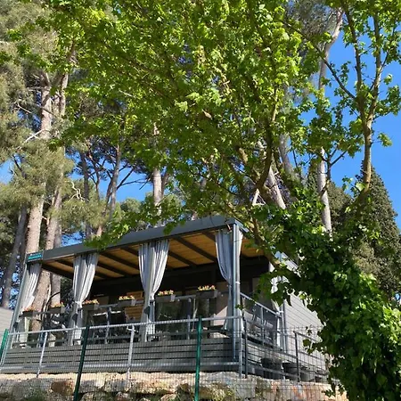 Mobile Biondina Camp Porton Nature Hideouts 营地 罗维尼