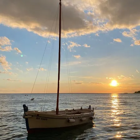 Mobile Biondina Camp Porton Nature Hideouts 营地 *