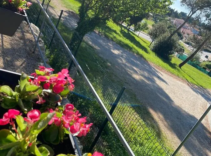 Mobile Biondina Camp Porton Nature Hideouts *