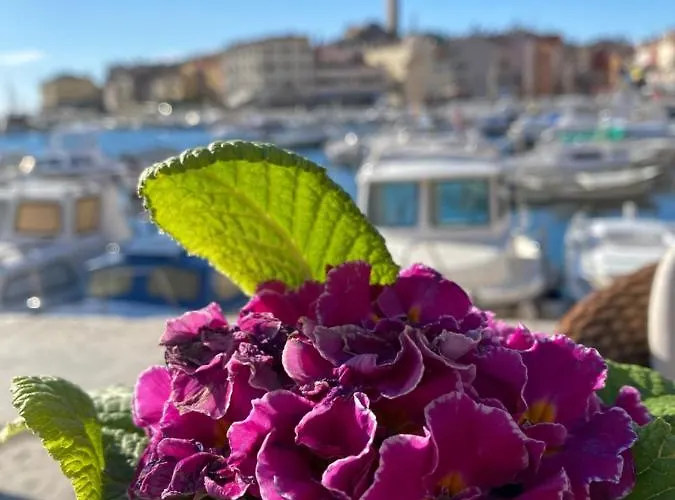 Kamp Mobile Biondina Camp Porton Nature Hideouts *